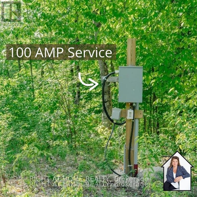 870 RELATIVE ROAD, Armour, Ontario