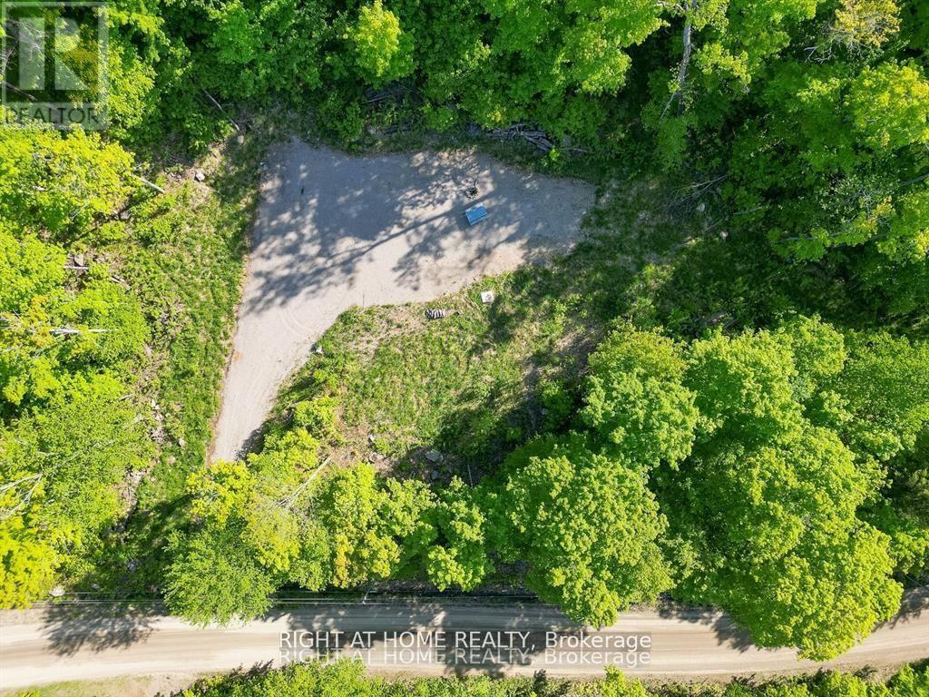 870 Relative Road, Armour, Ontario  P0A 1C0 - Photo 8 - X12156661