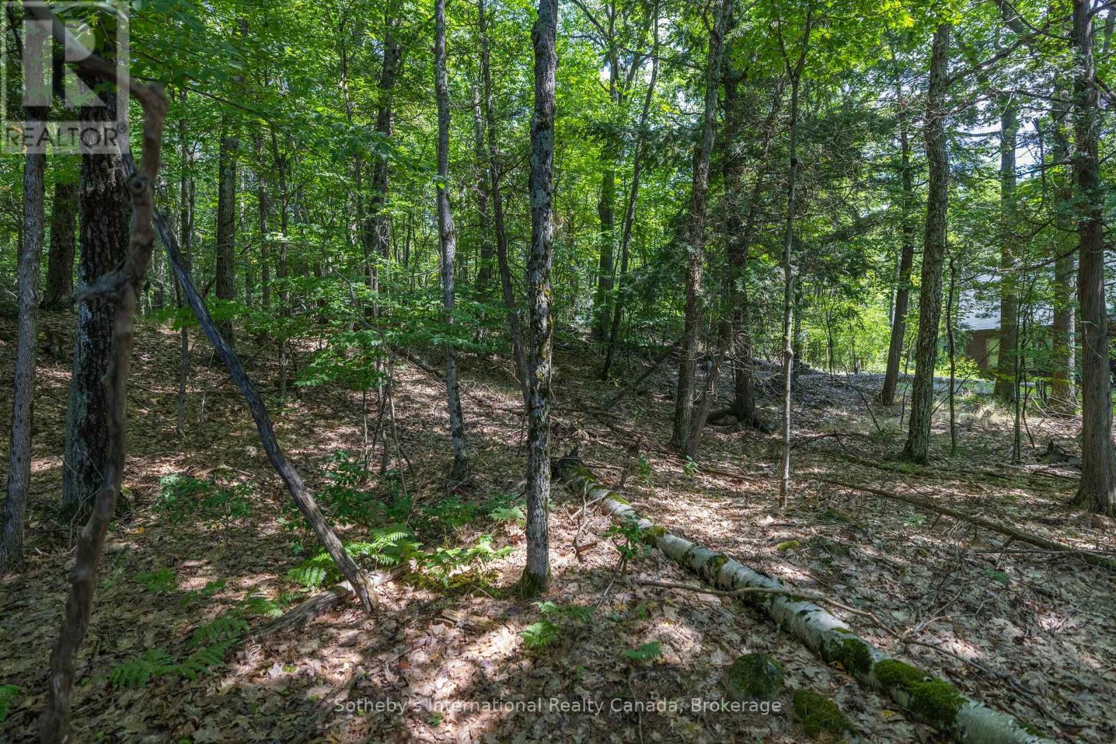 8 - 1124 Coate Road, Muskoka Lakes, Ontario P0C 1J0 - Photo 28 - X12156732