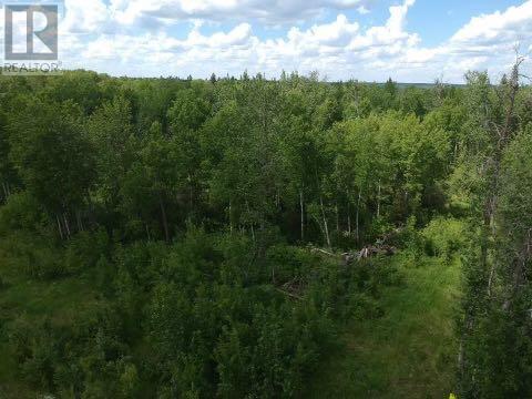 2, 50220 Range Road 204, Rural Beaver County, Alberta  T0B 4A0 - Photo 9 - A2008429