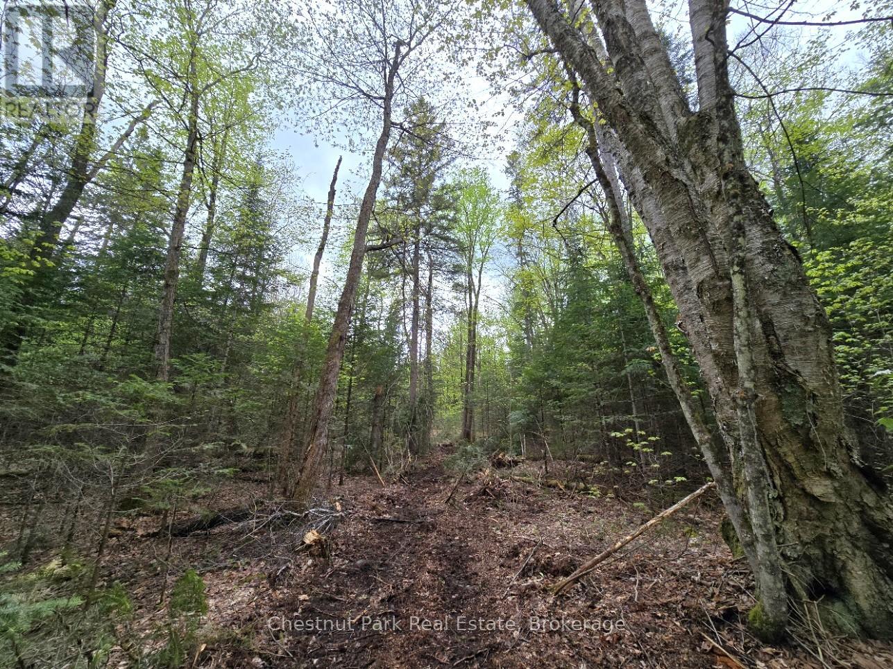 Part 6 Echo Ridge Road, Kearney, Ontario  P0A 1M0 - Photo 11 - X12156745