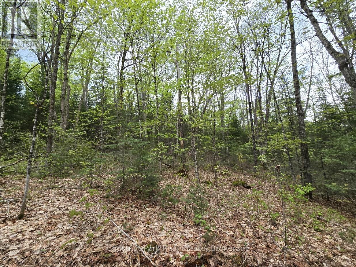 Part 6 Echo Ridge Road, Kearney, Ontario  P0A 1M0 - Photo 15 - X12156745