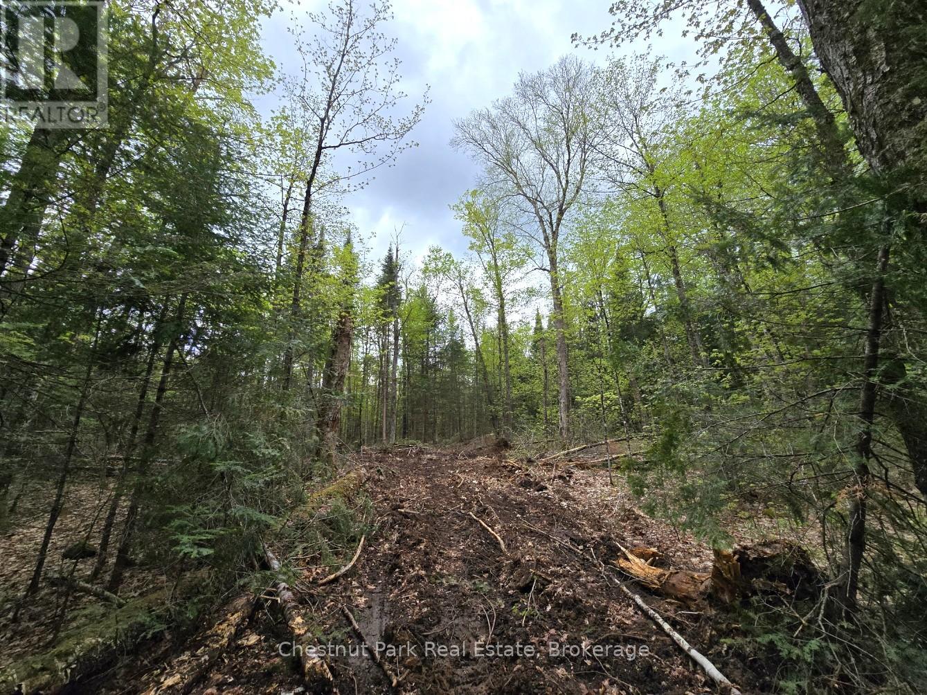 Part 6 Echo Ridge Road, Kearney, Ontario  P0A 1M0 - Photo 3 - X12156745