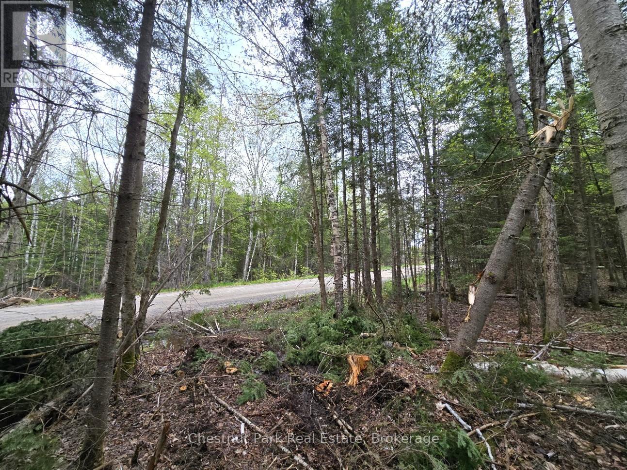 Part 6 Echo Ridge Road, Kearney, Ontario  P0A 1M0 - Photo 5 - X12156745