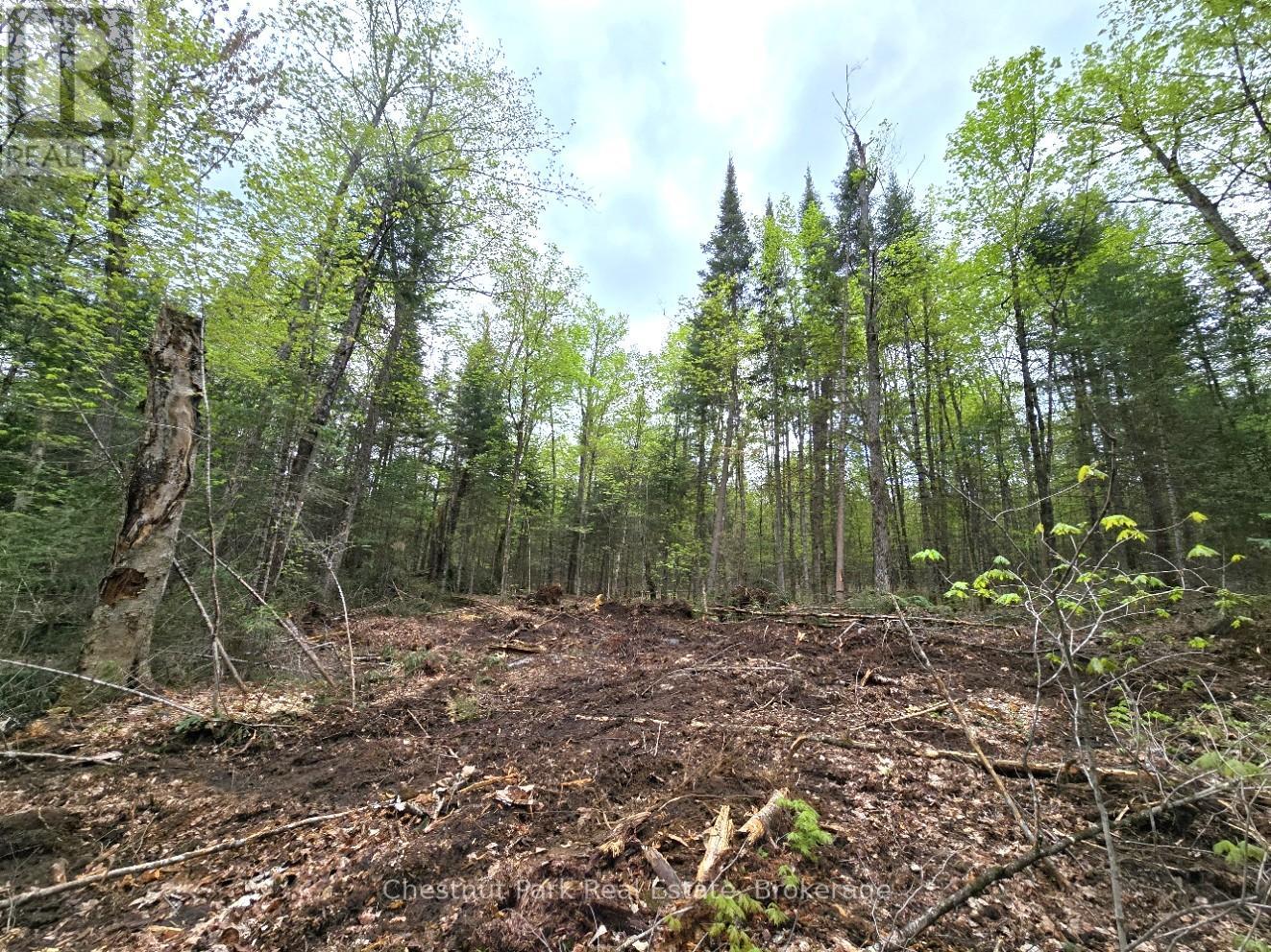 Part 6 Echo Ridge Road, Kearney, Ontario P0A 1M0 - Photo 6 - X12156745