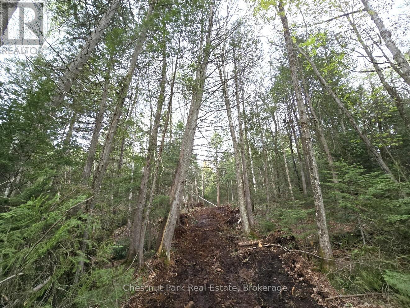 Part 1 Echo Ridge Road, Kearney, Ontario  P0A 1M0 - Photo 10 - X12156746