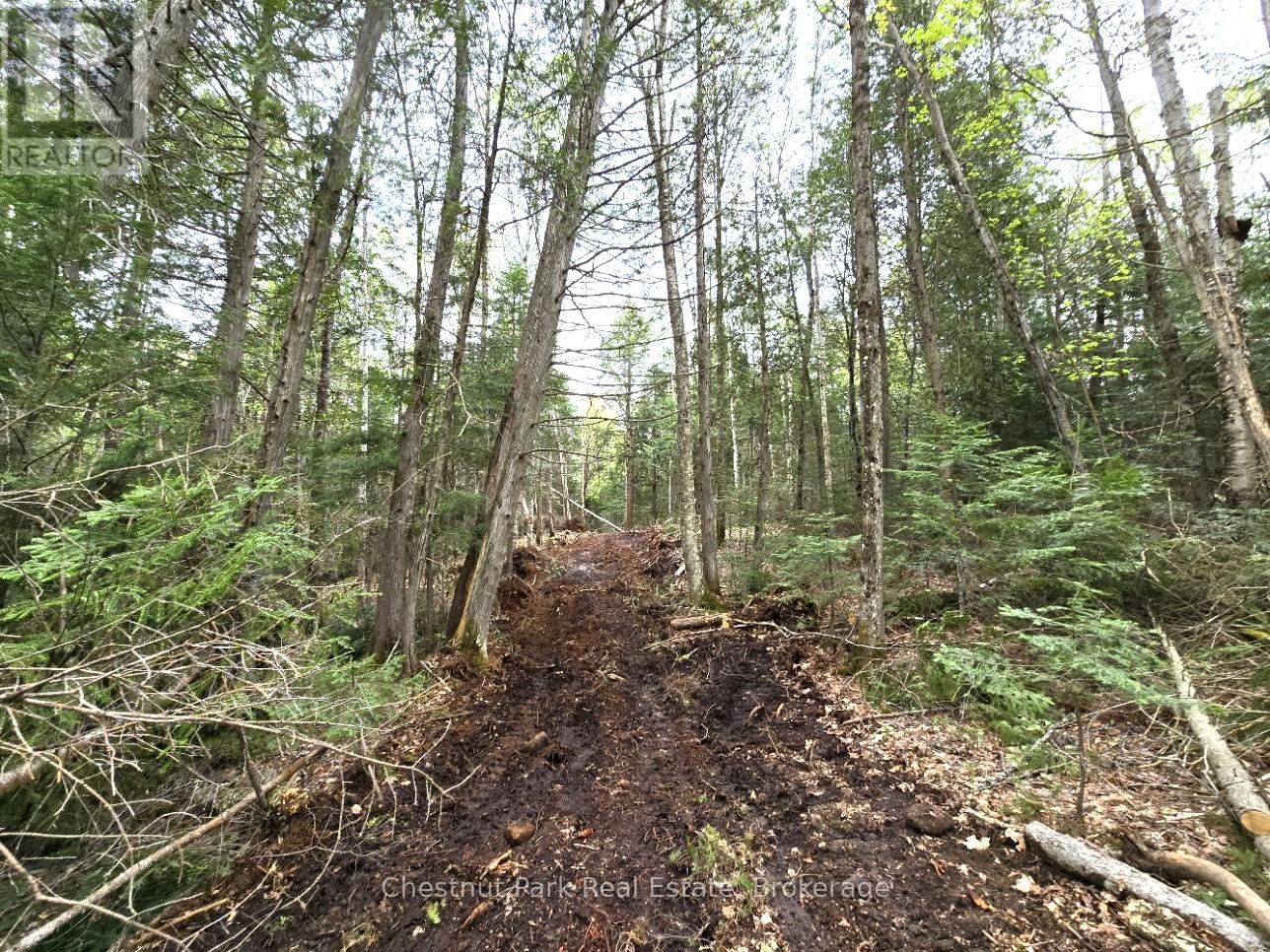 Part 1 Echo Ridge Road, Kearney, Ontario  P0A 1M0 - Photo 11 - X12156746