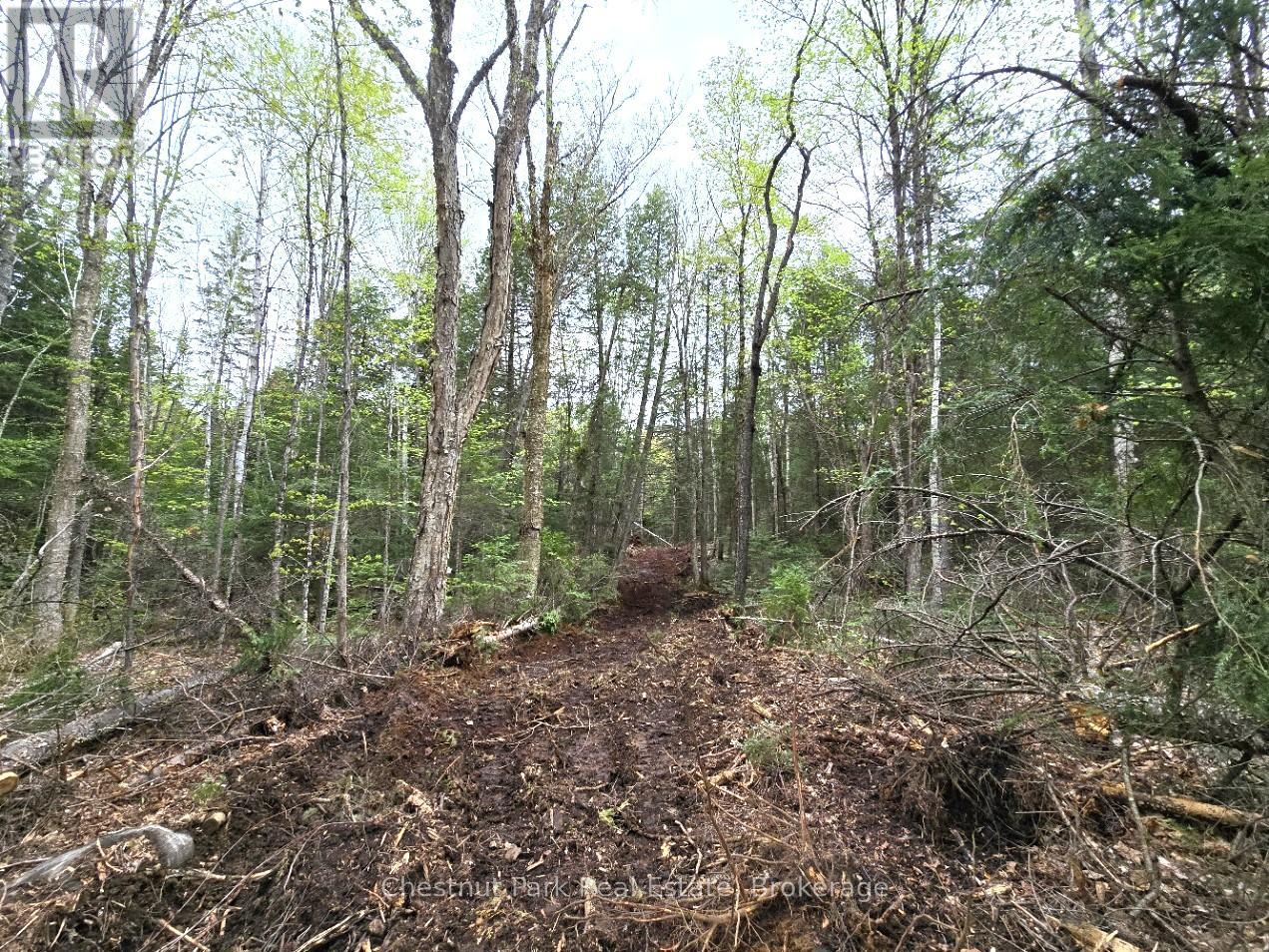 Part 1 Echo Ridge Road, Kearney, Ontario  P0A 1M0 - Photo 12 - X12156746