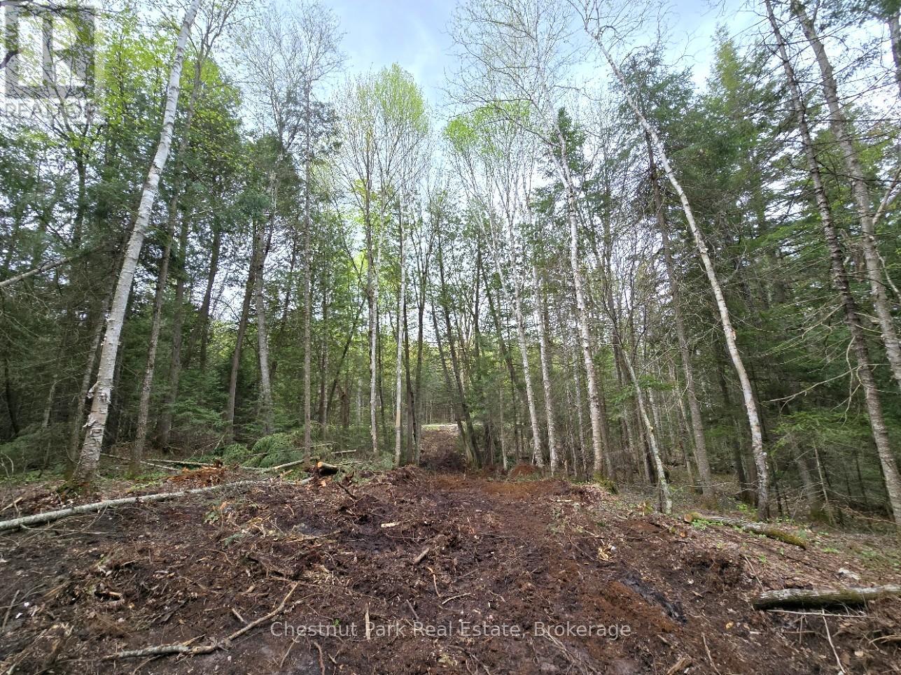 Part 1 Echo Ridge Road, Kearney, Ontario  P0A 1M0 - Photo 14 - X12156746