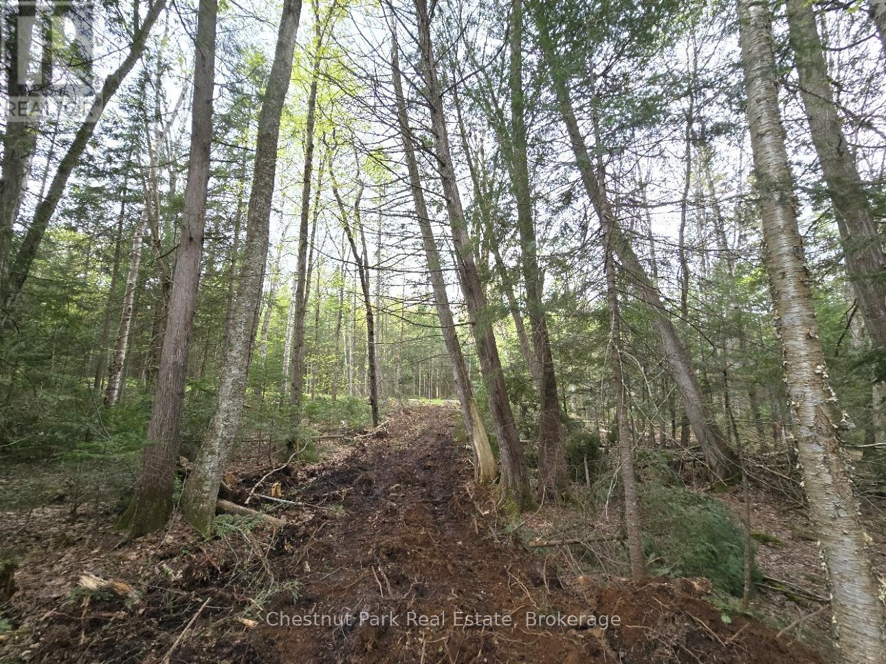 Part 1 Echo Ridge Road, Kearney, Ontario  P0A 1M0 - Photo 15 - X12156746