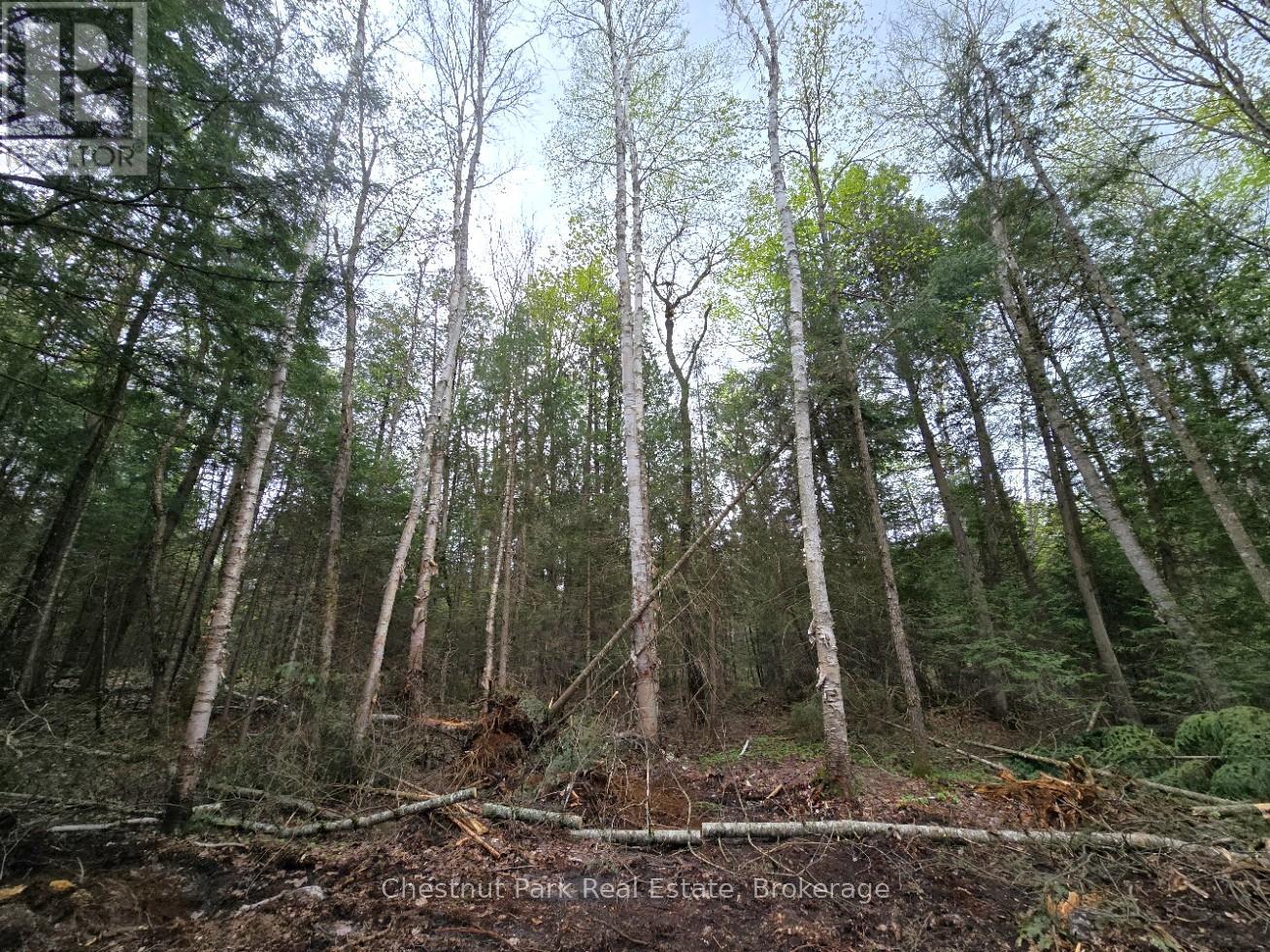 Part 1 Echo Ridge Road, Kearney, Ontario  P0A 1M0 - Photo 17 - X12156746