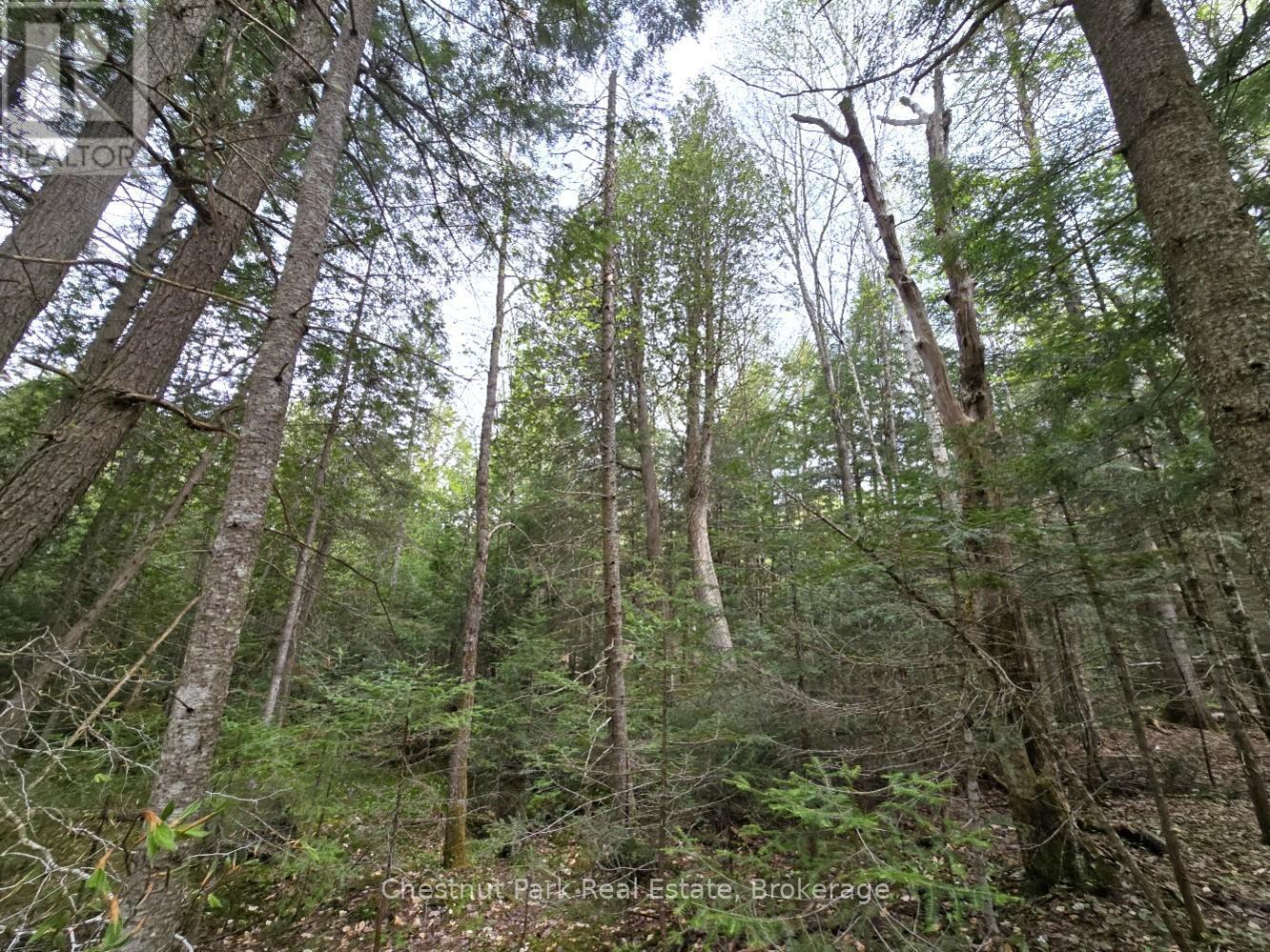 Part 1 Echo Ridge Road, Kearney, Ontario  P0A 1M0 - Photo 18 - X12156746