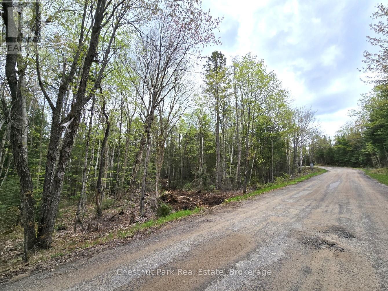 Part 1 Echo Ridge Road, Kearney, Ontario  P0A 1M0 - Photo 2 - X12156746