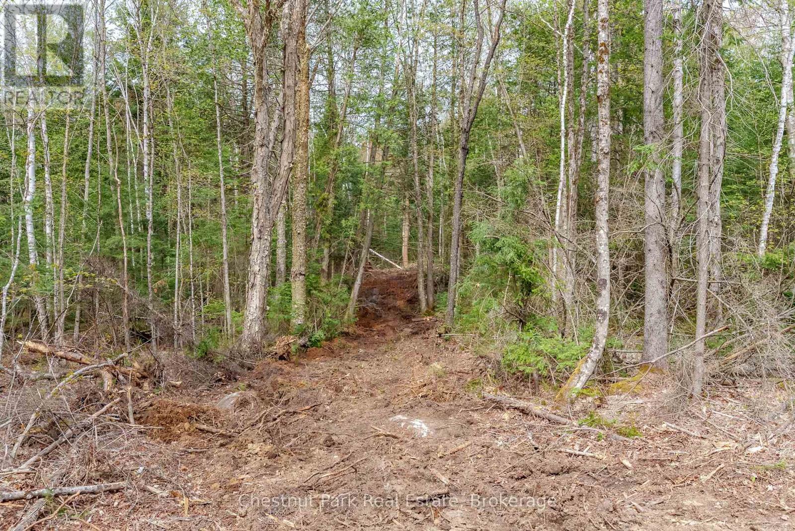 Part 1 Echo Ridge Road, Kearney, Ontario  P0A 1M0 - Photo 4 - X12156746