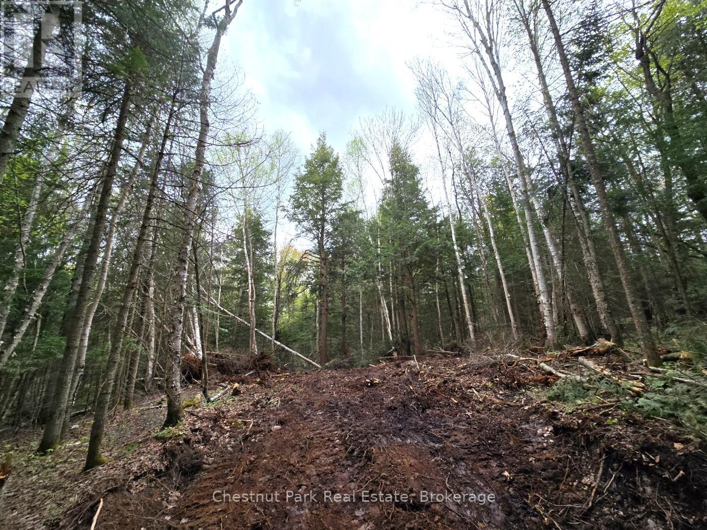 Part 1 Echo Ridge Road, Kearney, Ontario  P0A 1M0 - Photo 6 - X12156746