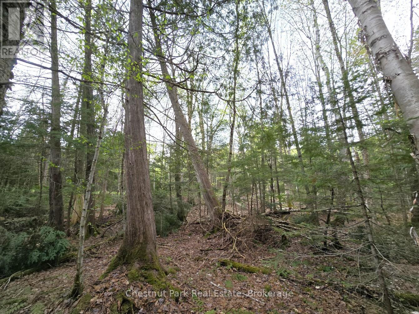Part 1 Echo Ridge Road, Kearney, Ontario  P0A 1M0 - Photo 8 - X12156746