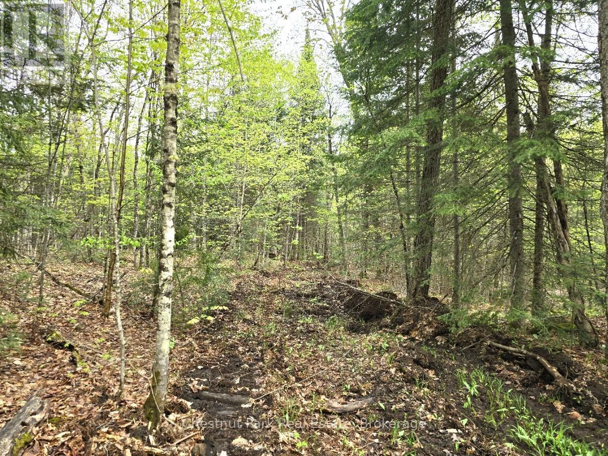 Part 7 Echo Ridge Road, Kearney, Ontario  P0A 1M0 - Photo 11 - X12156747