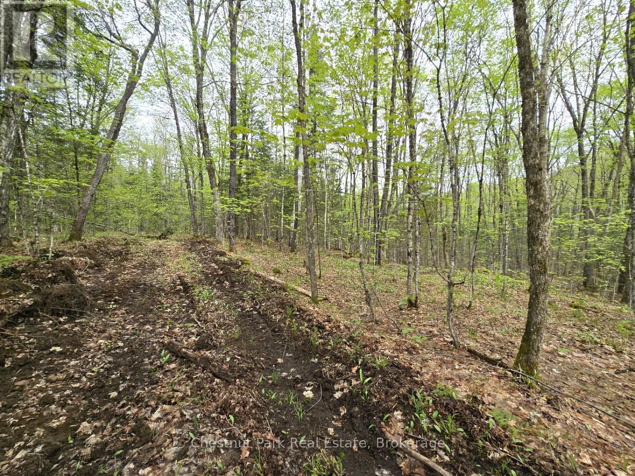 Part 7 Echo Ridge Road, Kearney, Ontario  P0A 1M0 - Photo 14 - X12156747