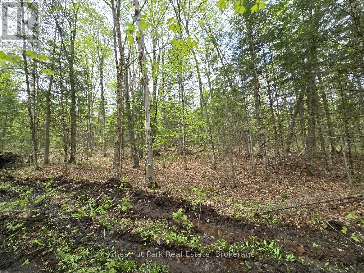 Part 7 Echo Ridge Road, Kearney, Ontario  P0A 1M0 - Photo 16 - X12156747