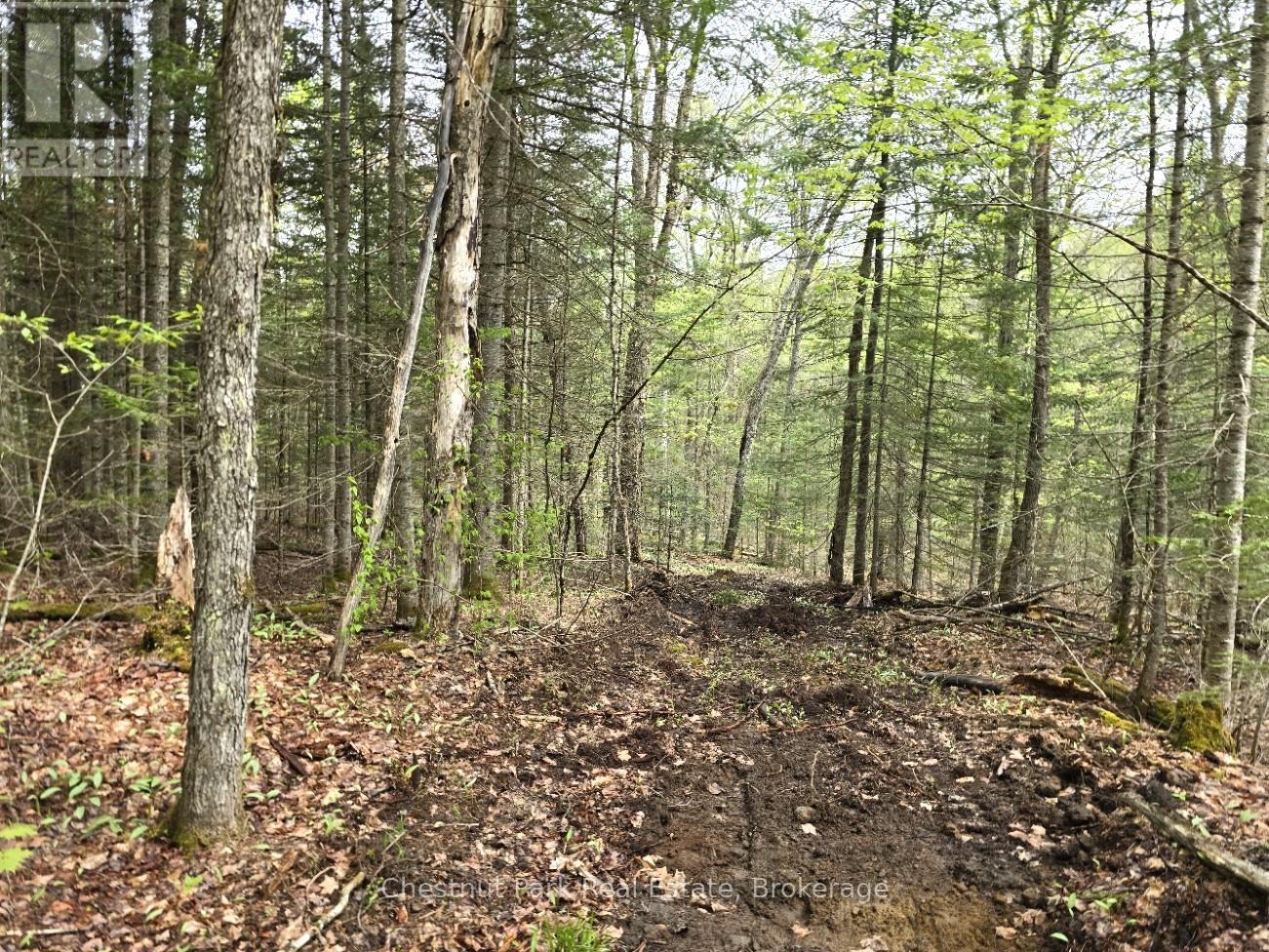 Part 7 Echo Ridge Road, Kearney, Ontario  P0A 1M0 - Photo 17 - X12156747
