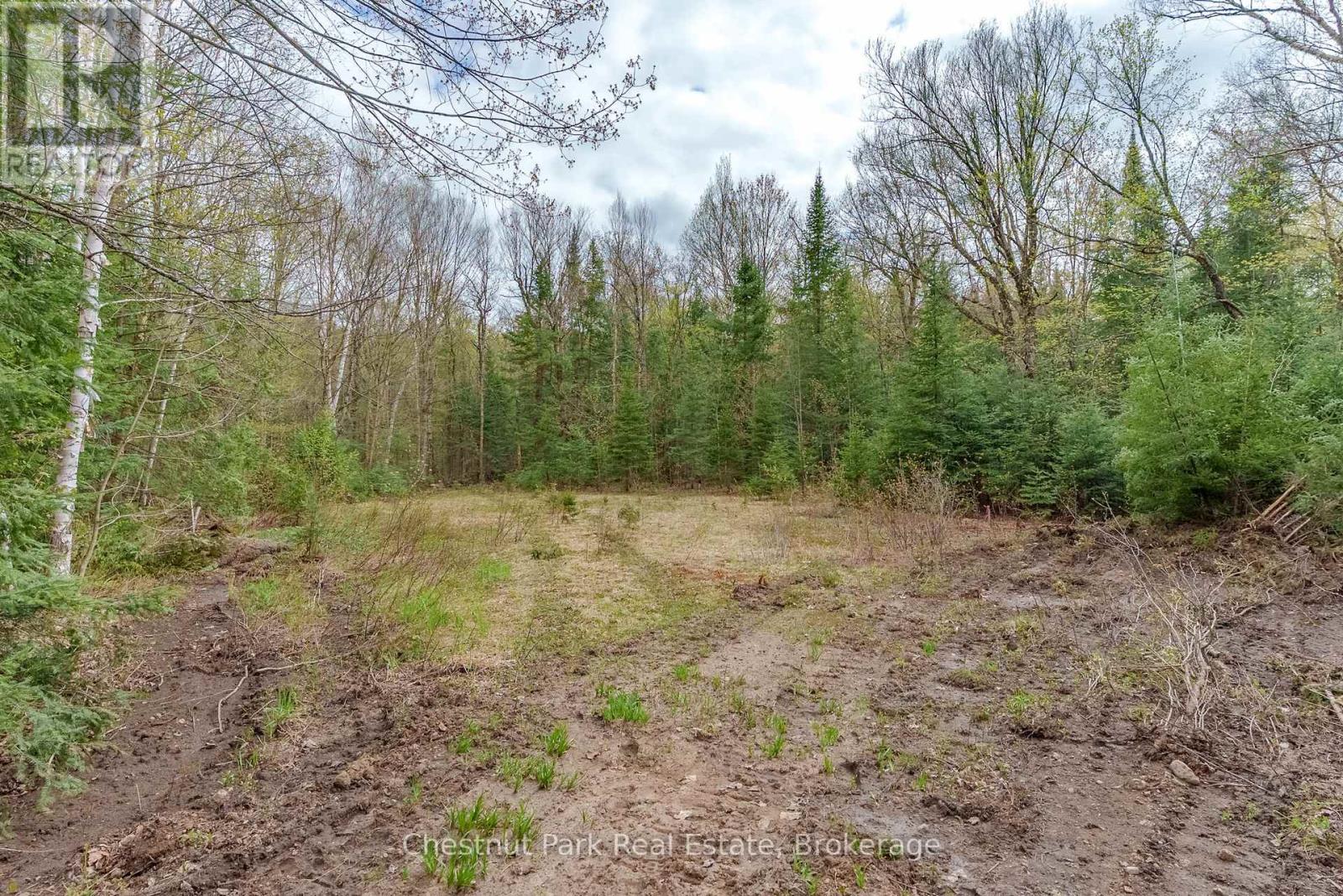 Part 7 Echo Ridge Road, Kearney, Ontario  P0A 1M0 - Photo 18 - X12156747