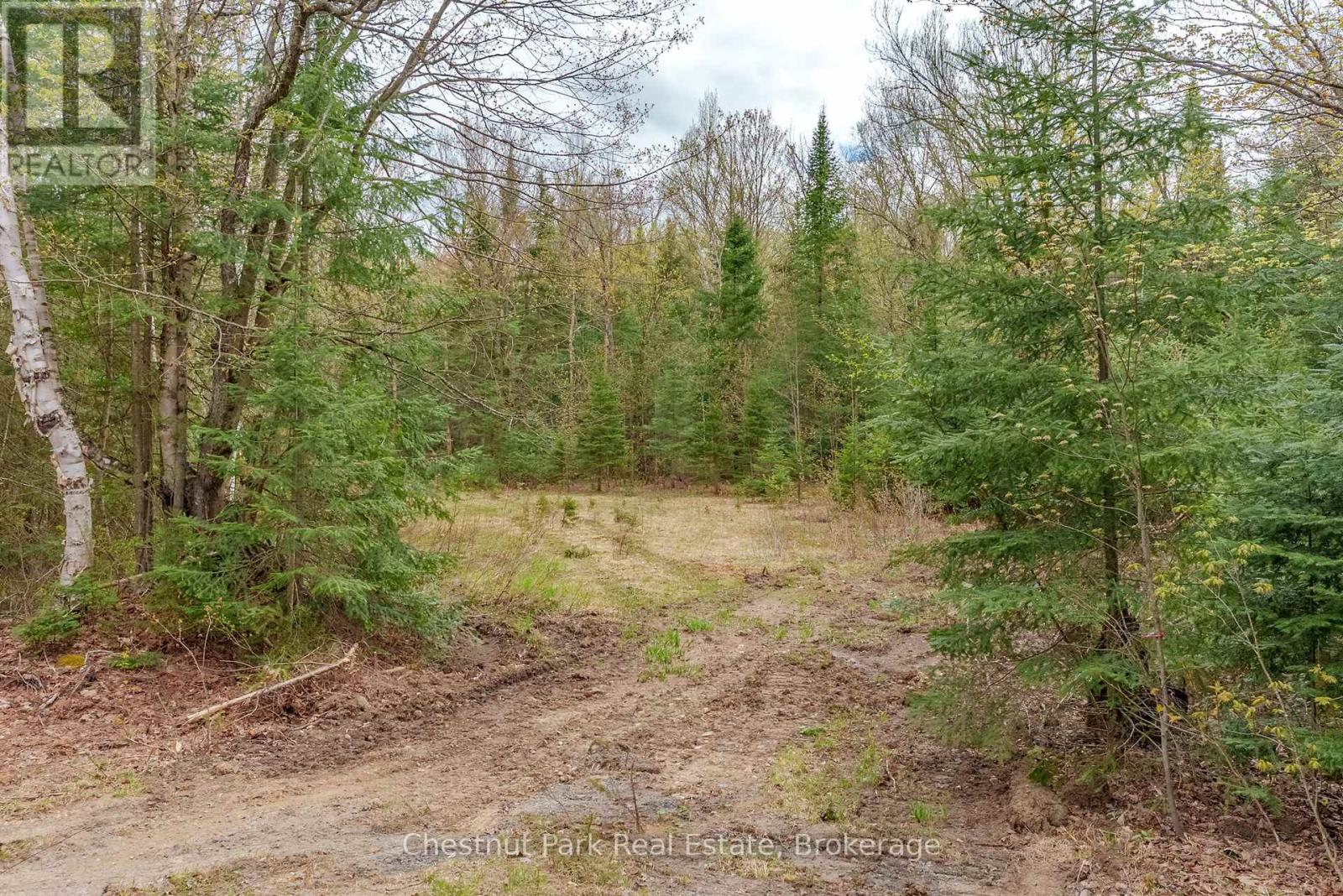 Part 7 Echo Ridge Road, Kearney, Ontario  P0A 1M0 - Photo 19 - X12156747