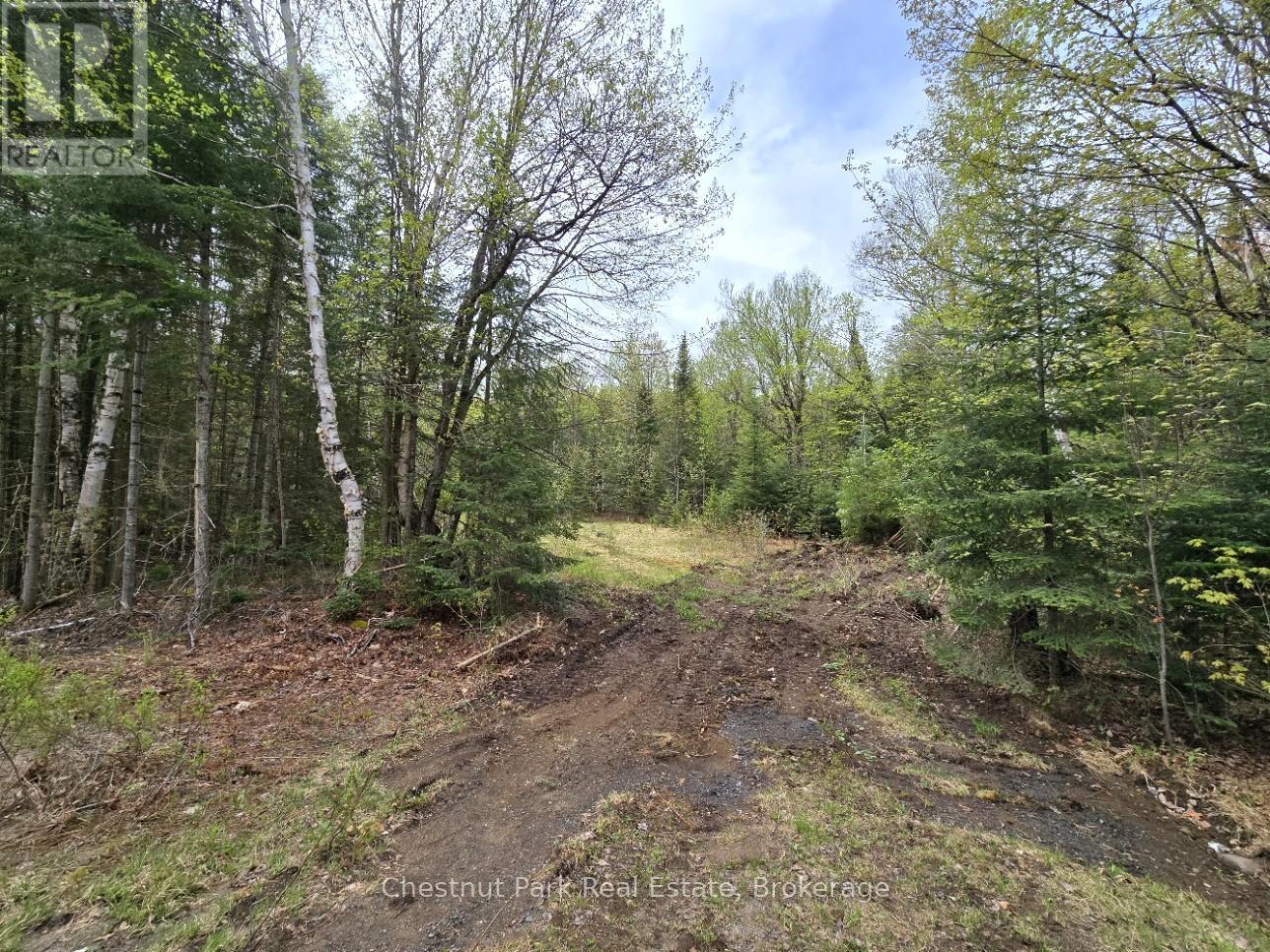 Part 7 Echo Ridge Road, Kearney, Ontario  P0A 1M0 - Photo 2 - X12156747