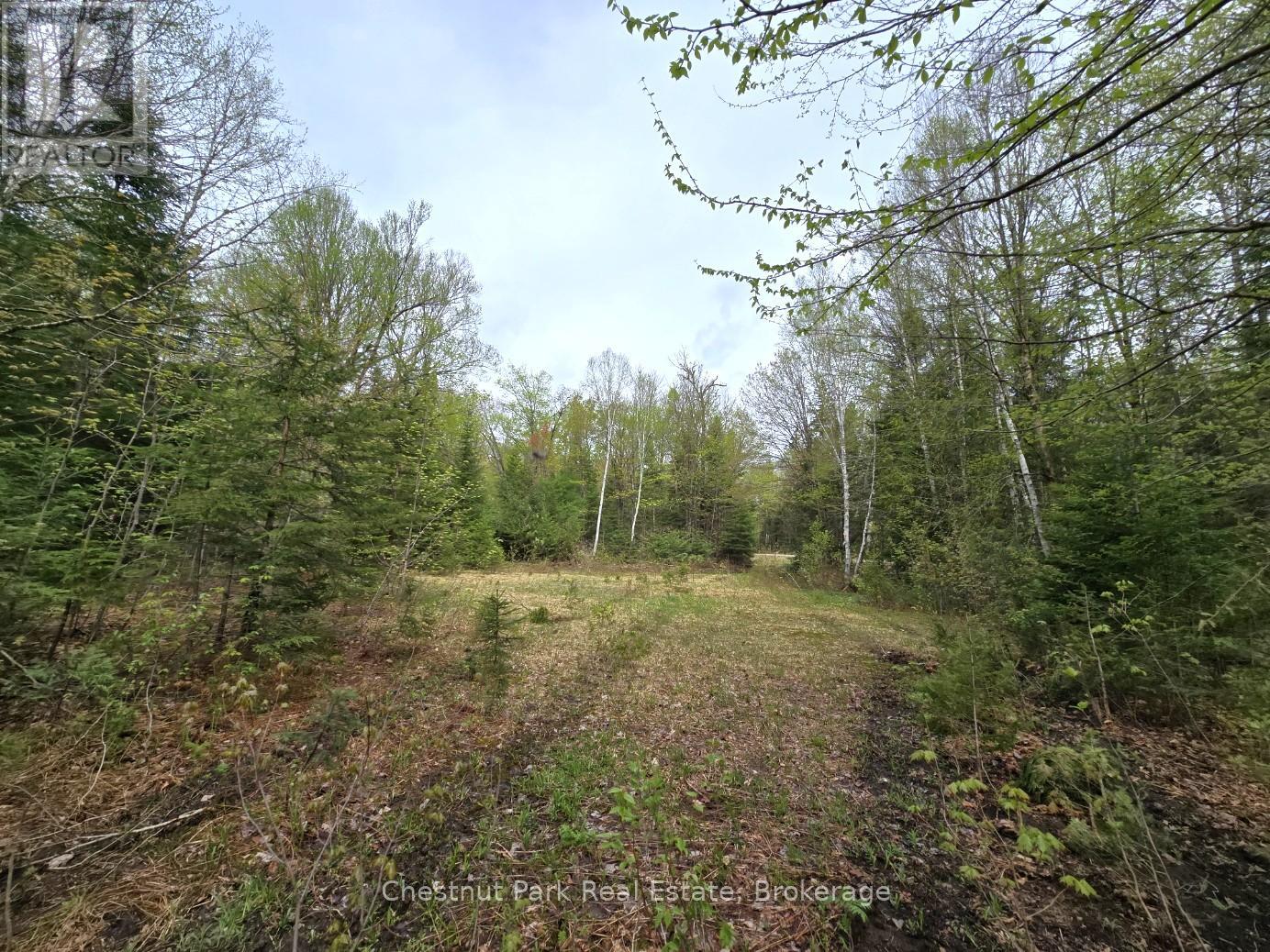 Part 7 Echo Ridge Road, Kearney, Ontario  P0A 1M0 - Photo 4 - X12156747