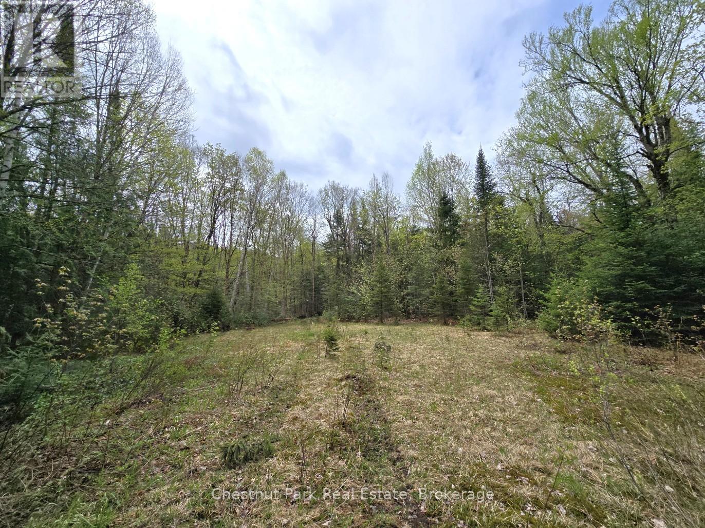 Part 7 Echo Ridge Road, Kearney, Ontario  P0A 1M0 - Photo 5 - X12156747
