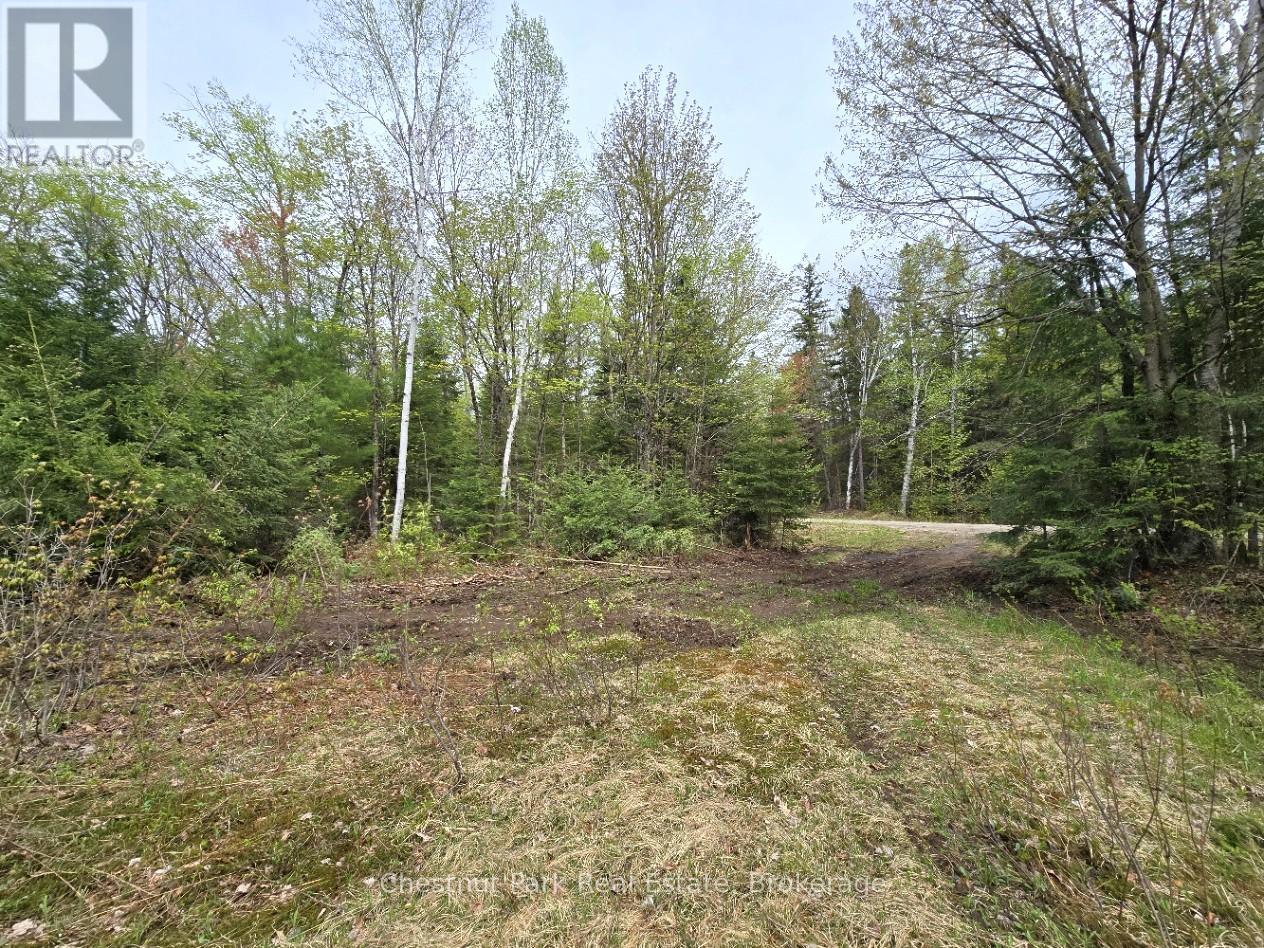 Part 7 Echo Ridge Road, Kearney, Ontario  P0A 1M0 - Photo 6 - X12156747