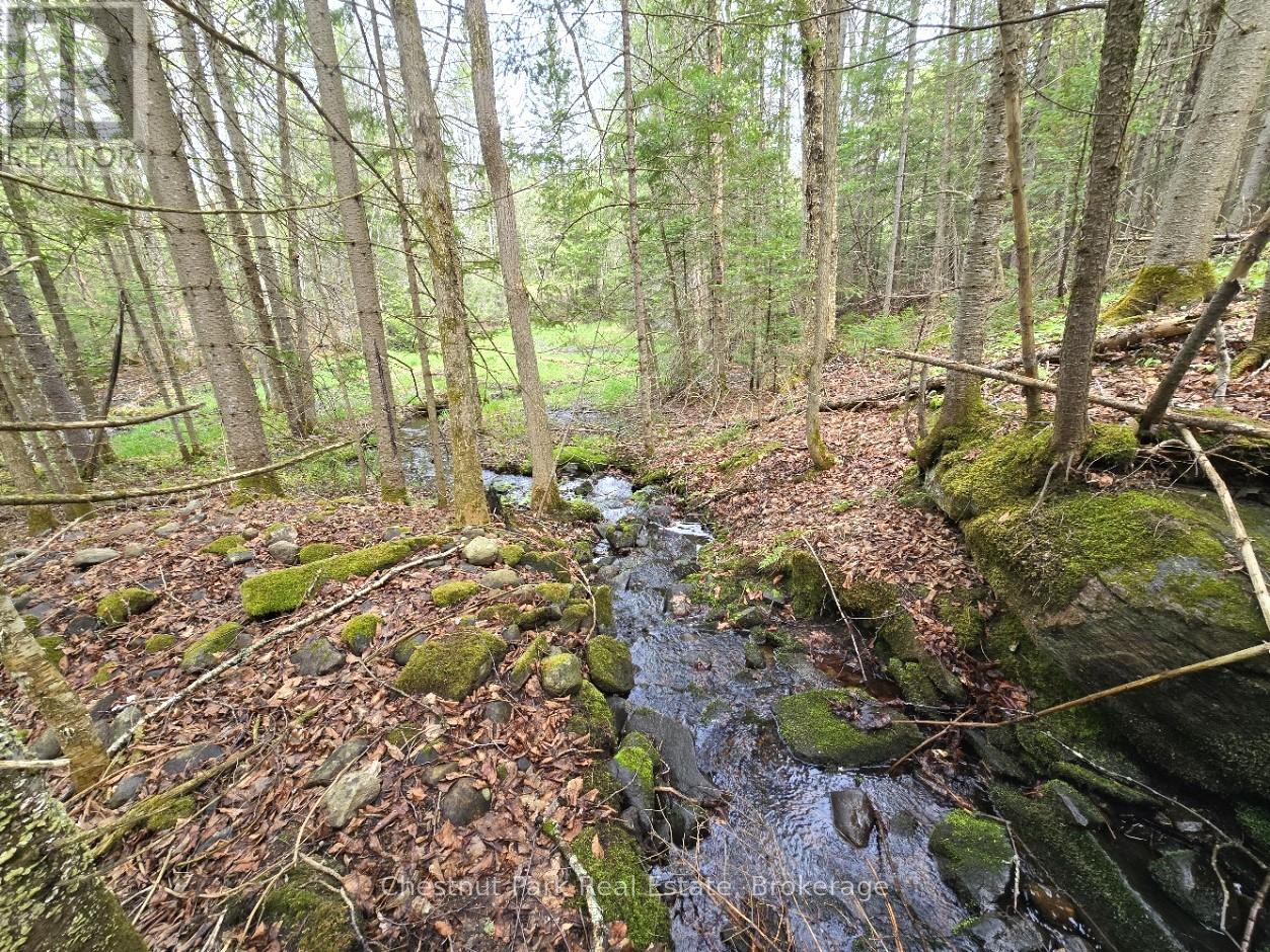 Part 7 Echo Ridge Road, Kearney, Ontario  P0A 1M0 - Photo 8 - X12156747