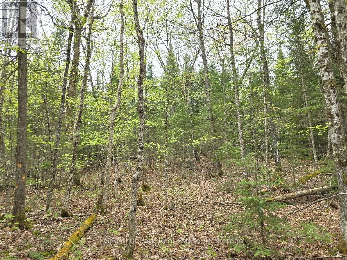 Part 7 Echo Ridge Road, Kearney, Ontario  P0A 1M0 - Photo 9 - X12156747