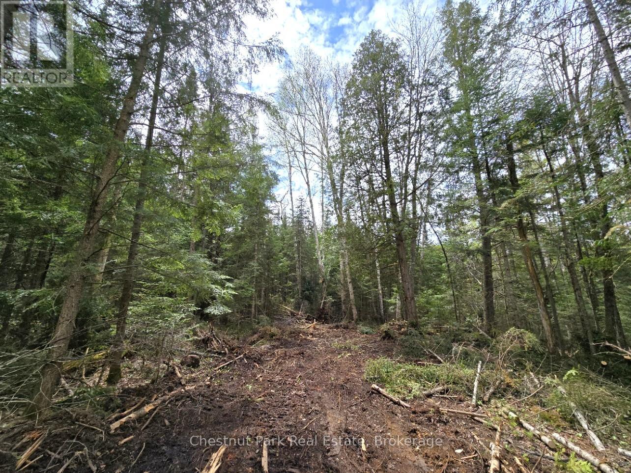 Part 5 Echo Ridge Road, Kearney, Ontario P0A 1M0 - Photo 10 - X12156748