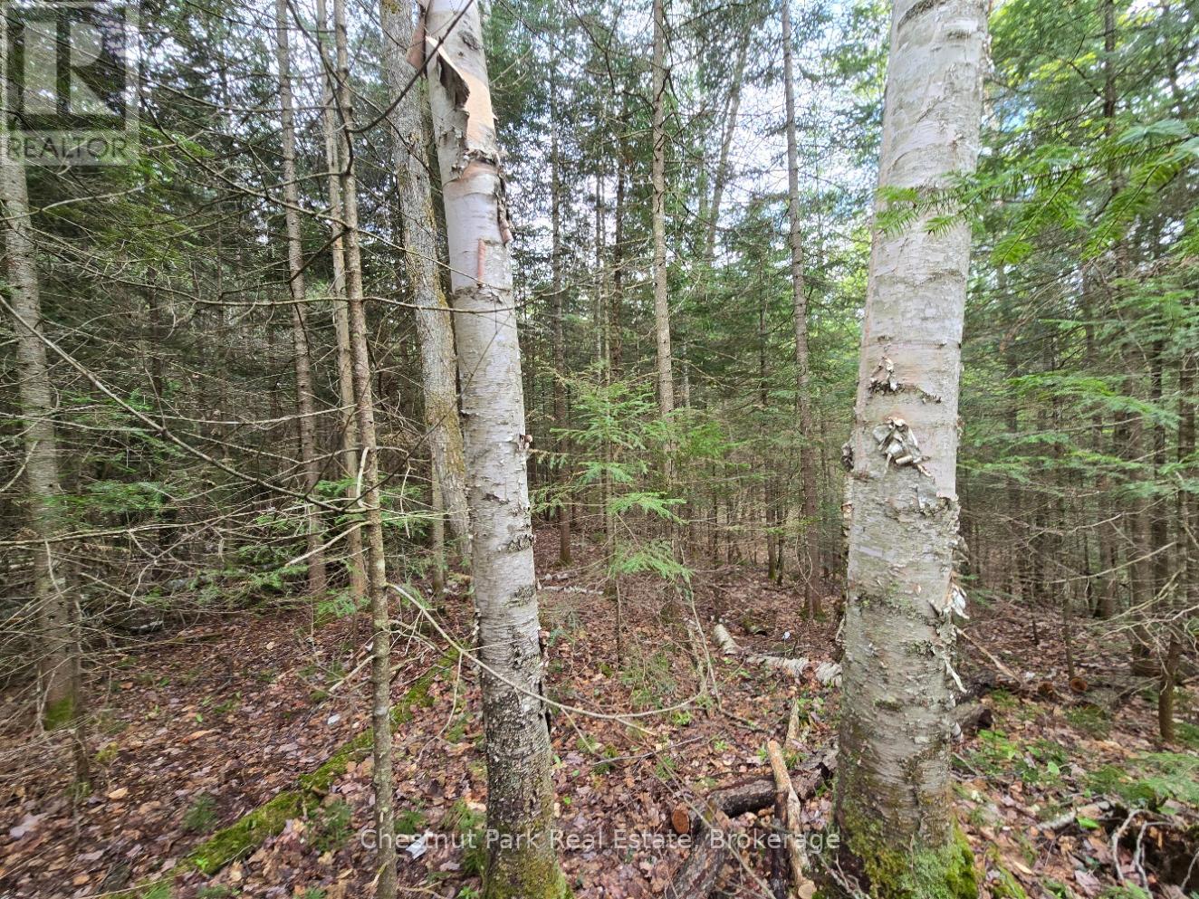 Part 5 Echo Ridge Road, Kearney, Ontario P0A 1M0 - Photo 11 - X12156748