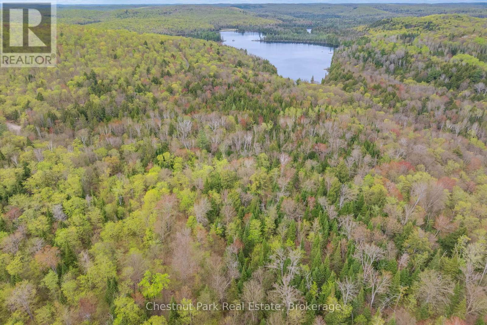 Part 5 Echo Ridge Road, Kearney, Ontario  P0A 1M0 - Photo 12 - X12156748
