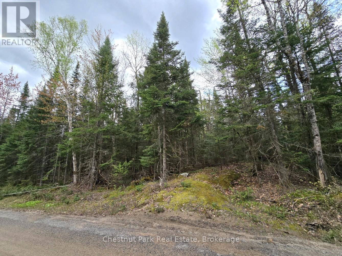 Part 5 Echo Ridge Road, Kearney, Ontario  P0A 1M0 - Photo 18 - X12156748