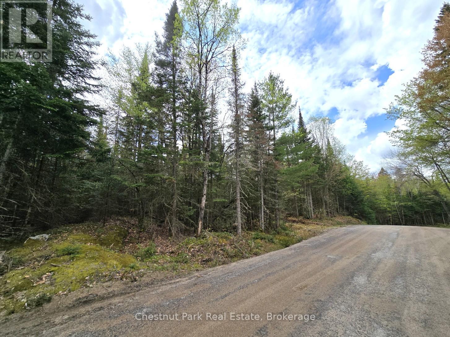 Part 5 Echo Ridge Road, Kearney, Ontario P0A 1M0 - Photo 19 - X12156748