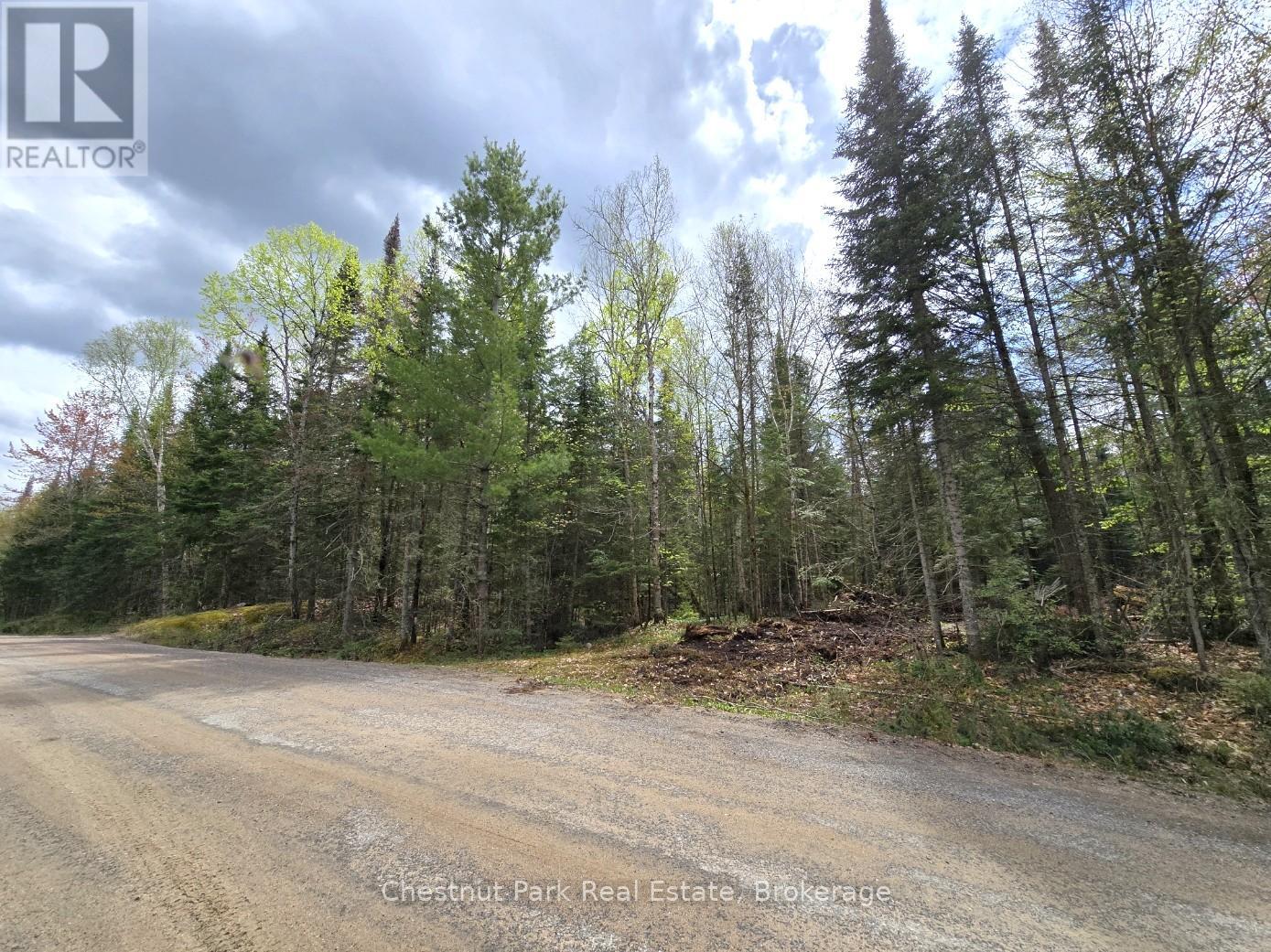 Part 5 Echo Ridge Road, Kearney, Ontario  P0A 1M0 - Photo 2 - X12156748