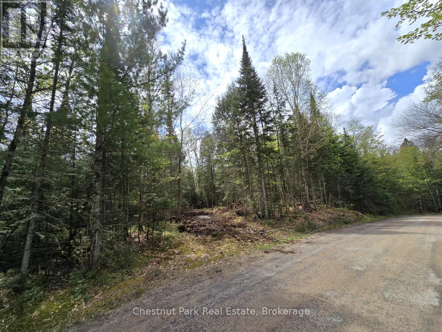 Part 5 Echo Ridge Road, Kearney, Ontario  P0A 1M0 - Photo 20 - X12156748