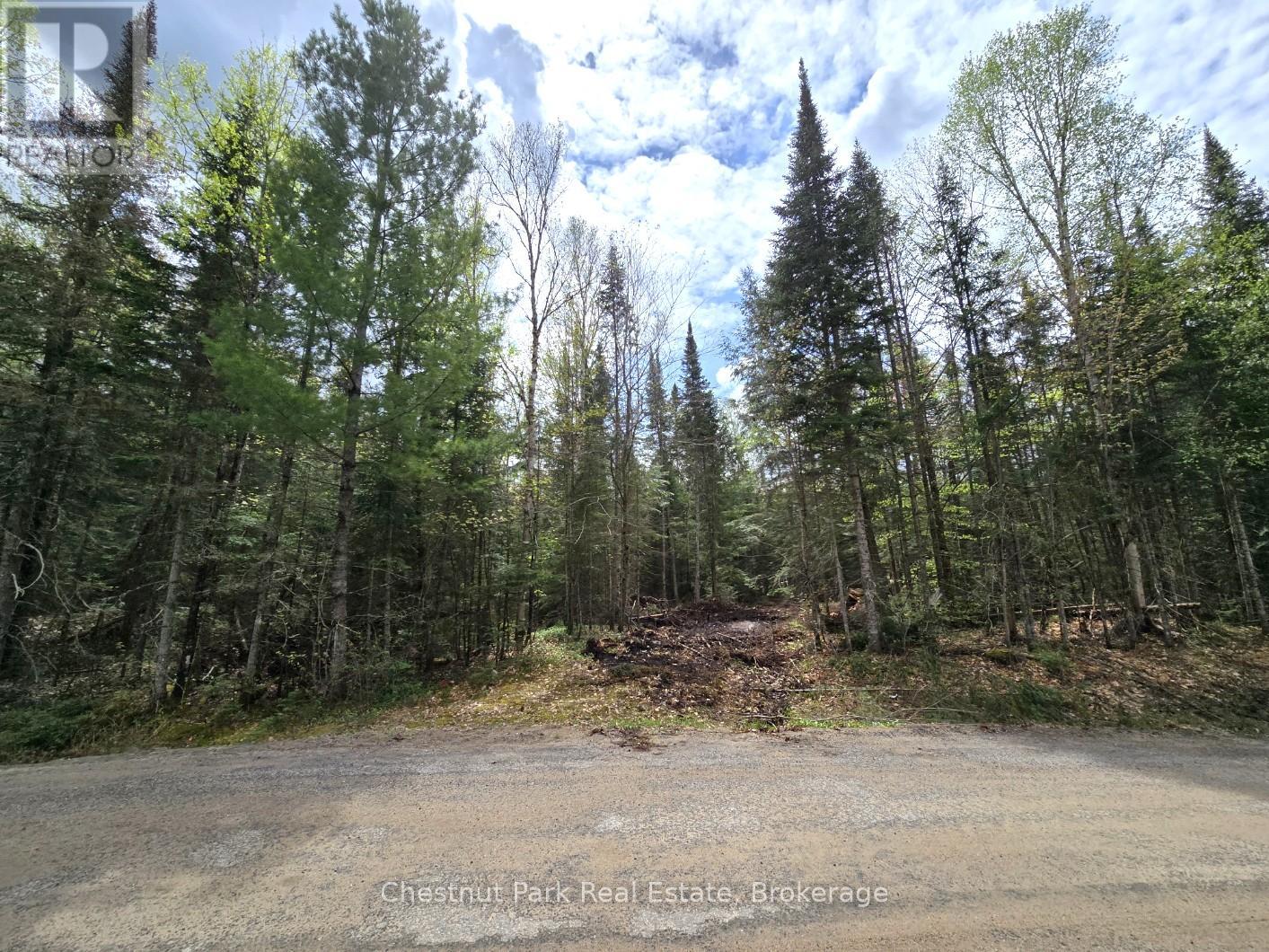 Part 5 Echo Ridge Road, Kearney, Ontario  P0A 1M0 - Photo 3 - X12156748
