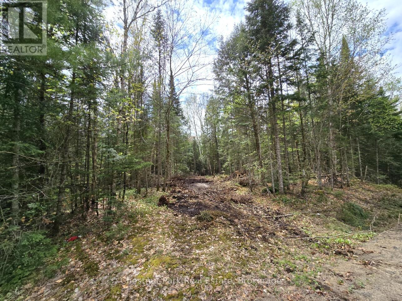 Part 5 Echo Ridge Road, Kearney, Ontario  P0A 1M0 - Photo 5 - X12156748