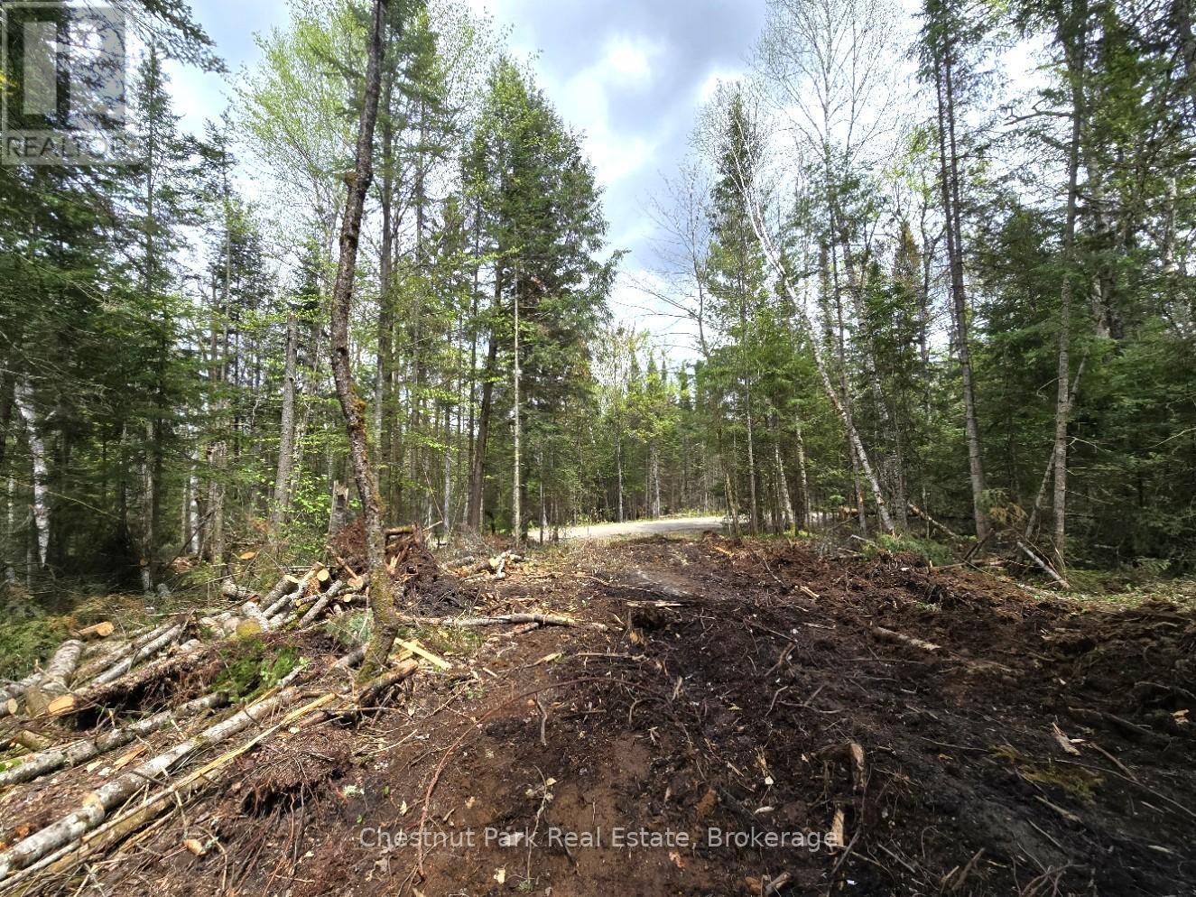 Part 5 Echo Ridge Road, Kearney, Ontario  P0A 1M0 - Photo 6 - X12156748