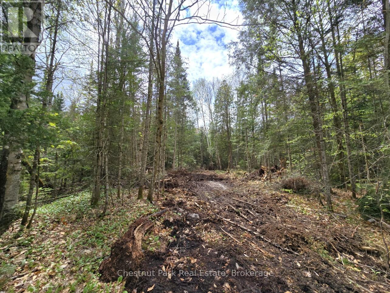 Part 5 Echo Ridge Road, Kearney, Ontario  P0A 1M0 - Photo 8 - X12156748