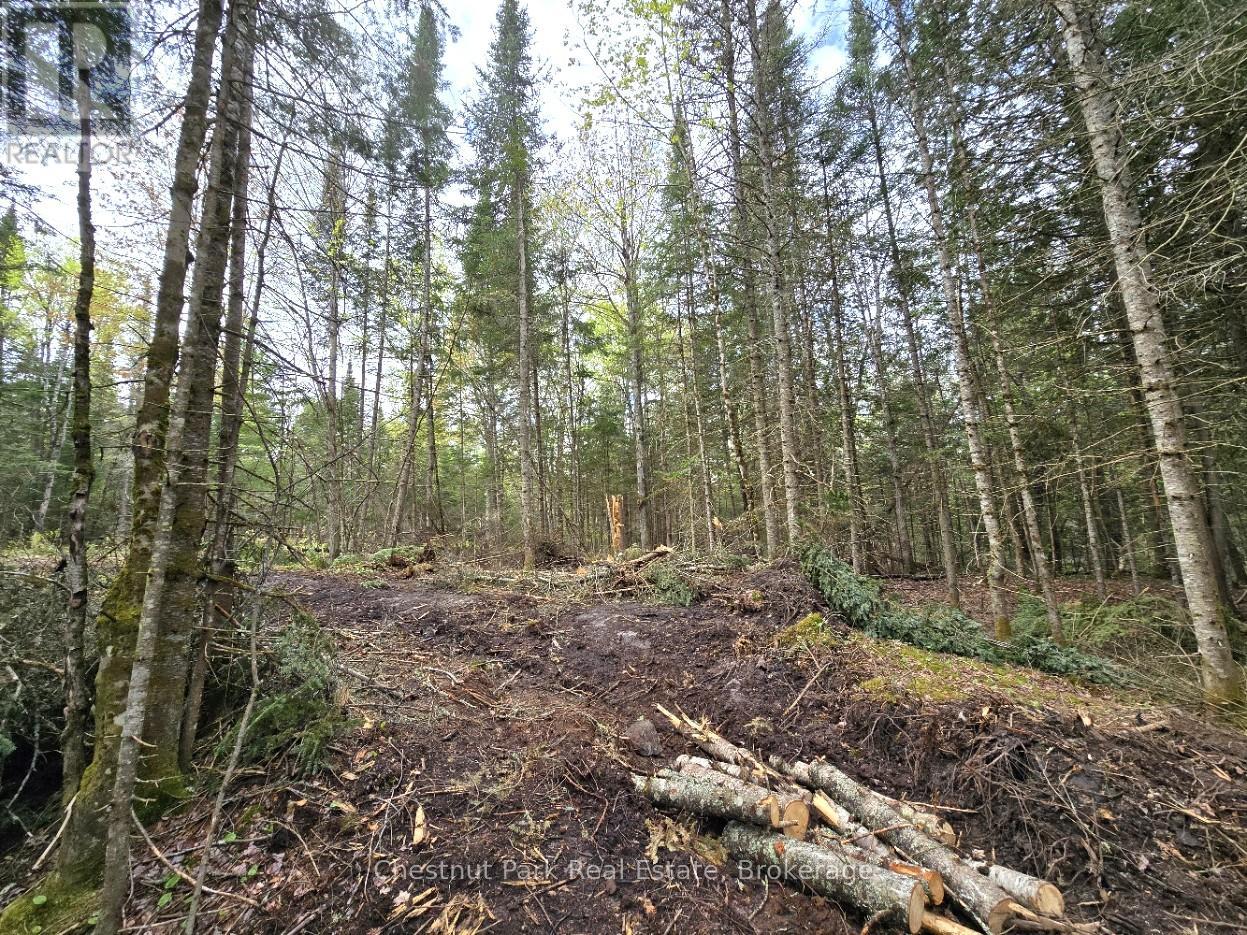 Part 2 Echo Ridge Road, Kearney, Ontario  P0A 1M0 - Photo 10 - X12156749