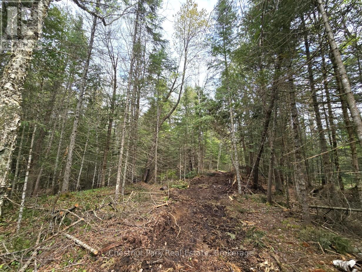 Part 2 Echo Ridge Road, Kearney, Ontario  P0A 1M0 - Photo 13 - X12156749