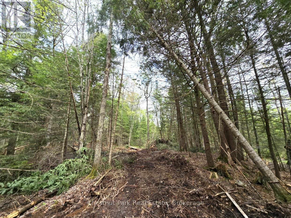 Part 2 Echo Ridge Road, Kearney, Ontario  P0A 1M0 - Photo 14 - X12156749