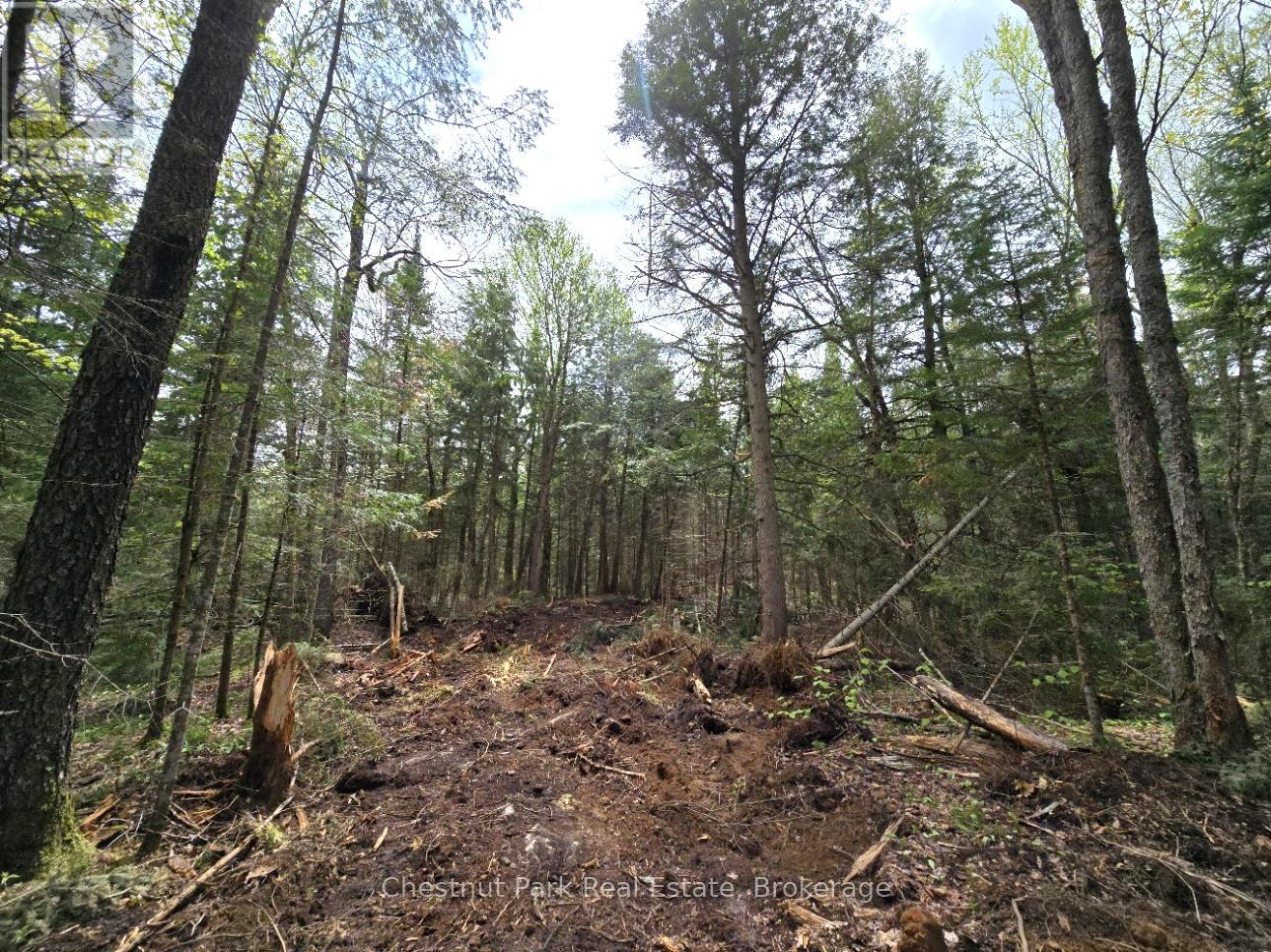 Part 2 Echo Ridge Road, Kearney, Ontario  P0A 1M0 - Photo 15 - X12156749