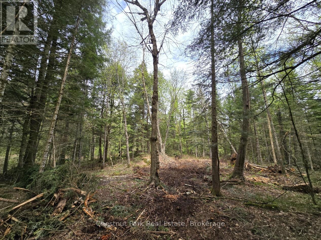Part 2 Echo Ridge Road, Kearney, Ontario  P0A 1M0 - Photo 16 - X12156749