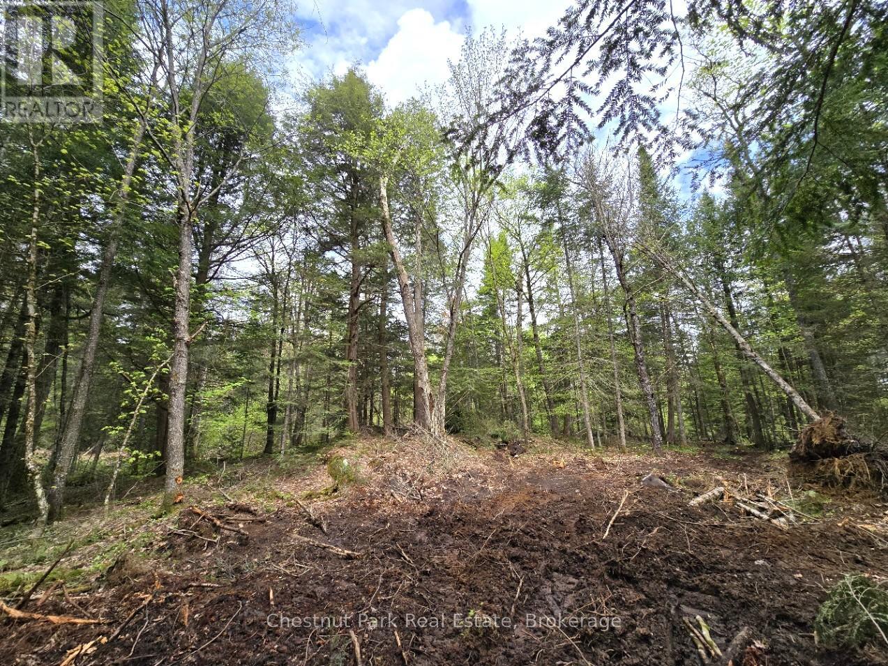 Part 2 Echo Ridge Road, Kearney, Ontario  P0A 1M0 - Photo 17 - X12156749