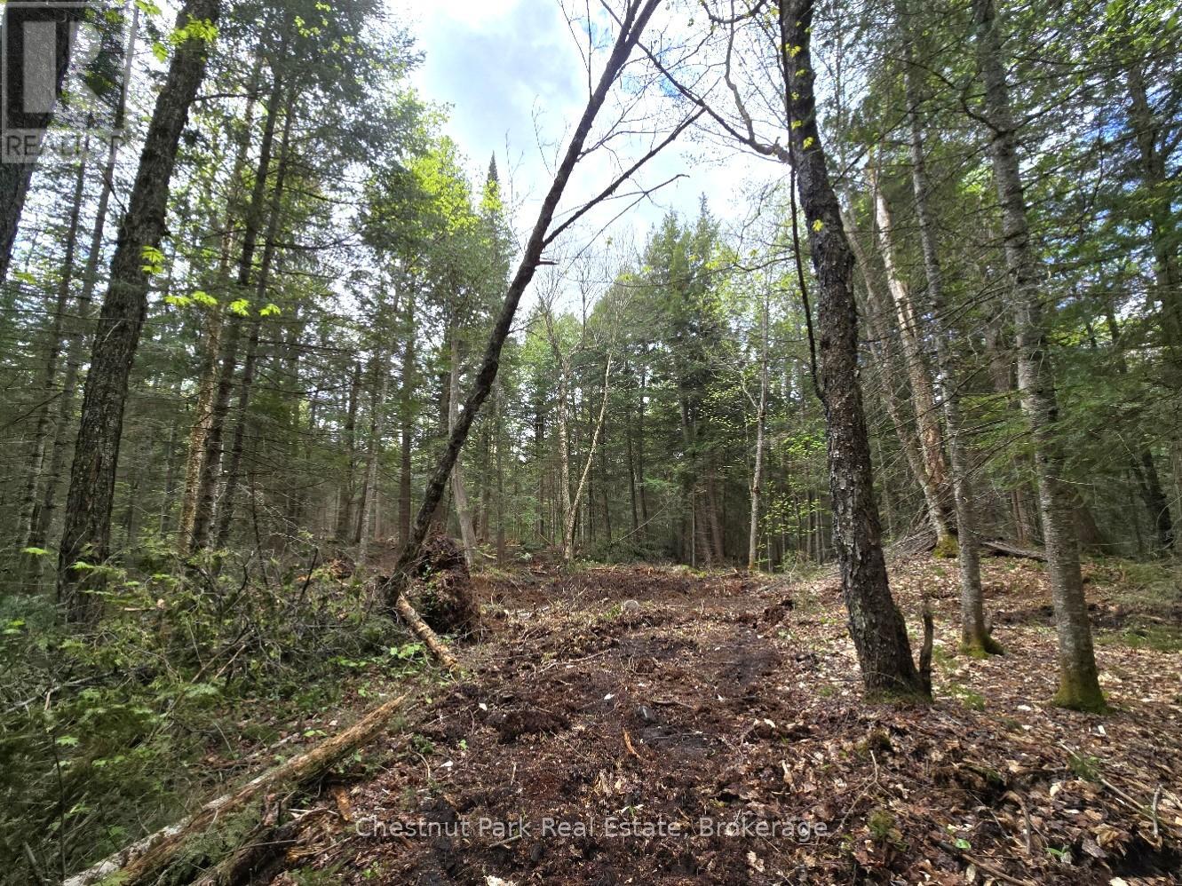 Part 2 Echo Ridge Road, Kearney, Ontario  P0A 1M0 - Photo 19 - X12156749